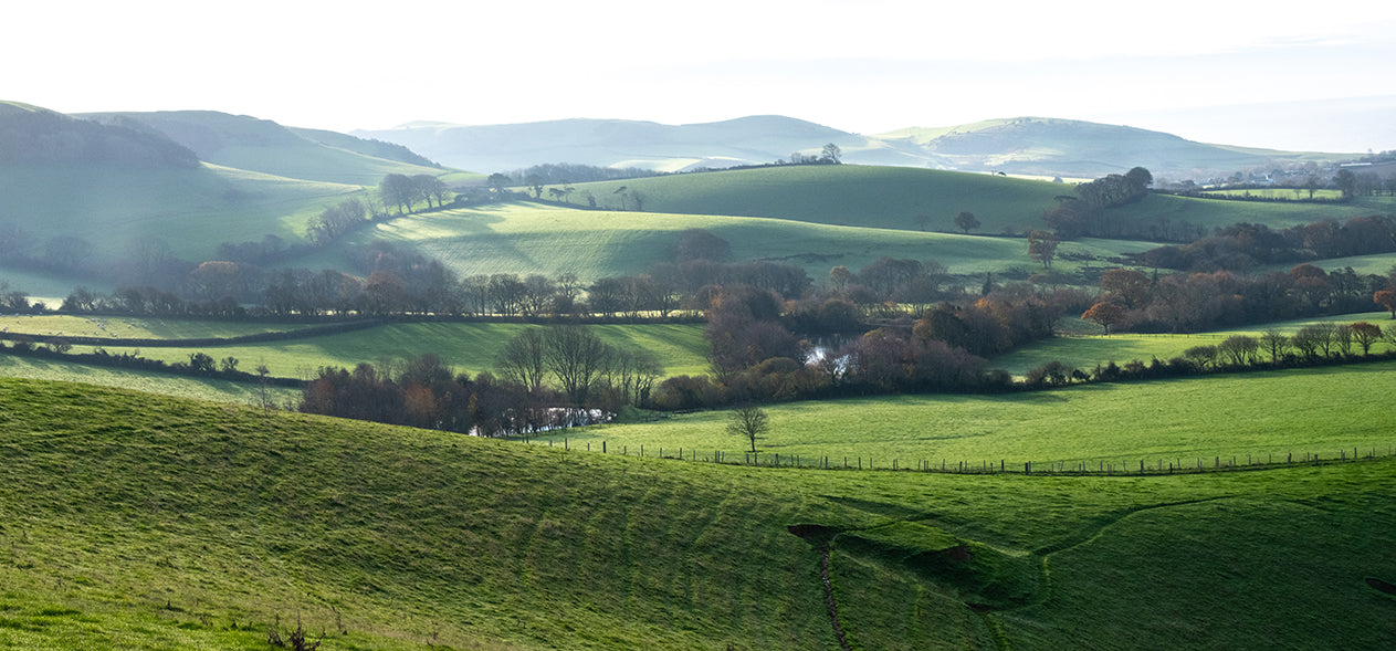 The Lost Art of Pilgrimage