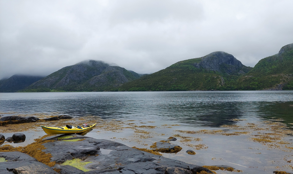 Paddle for Plastic